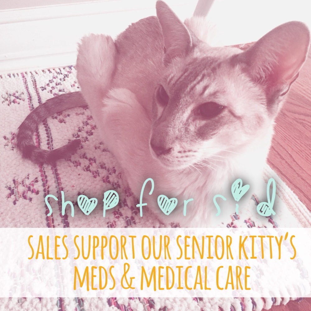 thank you for your support 💕🐈💕